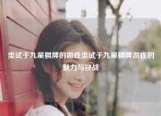 类试于九星棋牌的游戏类试于九星棋牌游戏的魅力与挑战