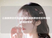 云南棋牌游戏官网揭秘云南棋牌游戏官网背后的精彩世界