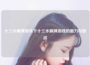 十三水棋牌游戏下十三水棋牌游戏的魅力与挑战