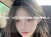 能打三打哈的棋牌游戏棋牌游戏的魅力与挑战